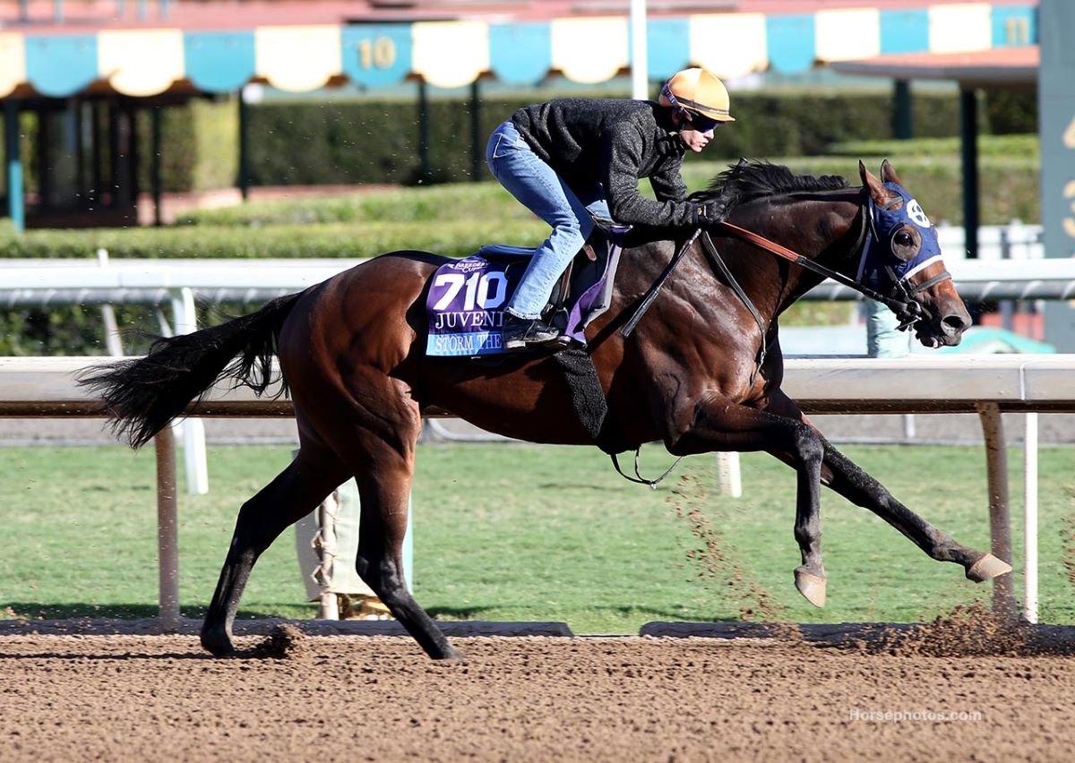 Storm the Court-Ohio Derby