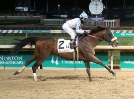 Tom's d'Etat seeks his fourth consecutive stakes victory in Saturday's Stephen Foster. The 7-year-old is your even-money morning line favorite. (Image: Churchill Downs)