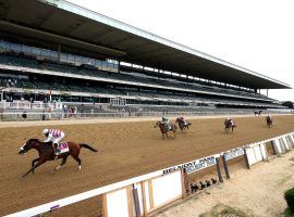 His easy Belmont Stakes victory illustrates why Tiz the Law (No. 8) is an easy Kentucky Derby futures favorite. (Image: Al Bello/Getty)