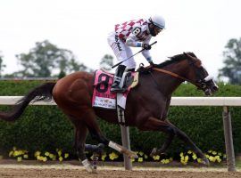 Tiz the Law and Manny Franco captured the 2020 Belmont Stakes in front of an empty Belmont Park grandstand. His next race is expected to be the Aug. 8 Travers Stakes at Saratoga. (Image: Getty)