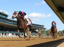 Art Collector's 3 1/2-length victor in the Blue Grass Stakes at Keeneland vaulted him to the front row of Kentucky Derby contenders. His odds to win the Sept. 5 Derby plummeted on every futures board. (Image: Coady Photography)