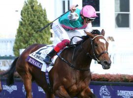 Enable and Frankie Dettori face only three rivals in their bid for history in Saturday's King George VI and Queen Elizabeth Stakes at Ascot. (Image: Coady Photography)