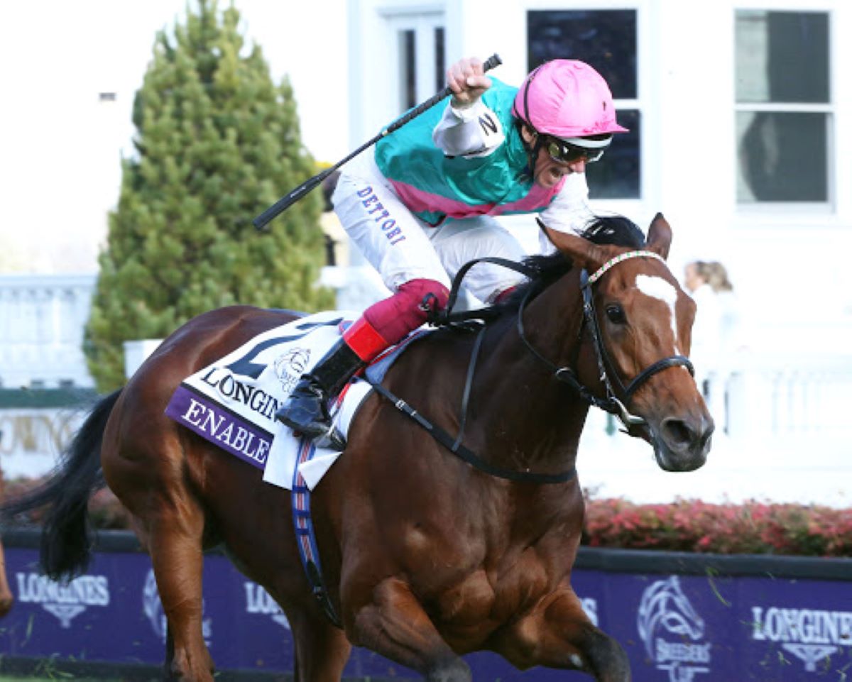 Enable-King George VI