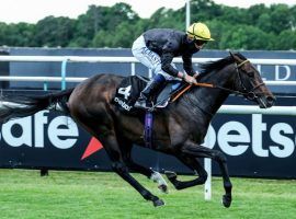 With Frankie Dettori in the irons, English King brings all the advantages of royalty into Saturday's Epsom Derby. All, save a favorable starting stall. (Image: Megan Ridgwell)