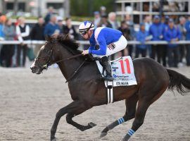 Ete Indien's front-running style brought him the Fountain of Youth title. But he may miss the Kentucky Derby with an unspecified injury. (Image: Ryan Thompson/Coglianese Photo)