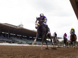 Don't be surprised if you see a replay of Honor A.P.'s Santa Anita Derby victory romp in Saturday's Shared Belief Stakes at Del Mar. He is the 8/5 favorite in the Kentucky Derby prep. (Image: Benoit Photo)