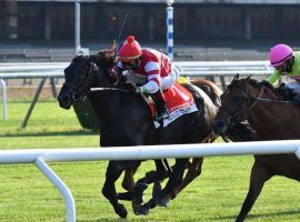 Irad Ortiz Jr. sent Instilled Regard through a slim opening to win Saturday's Grade 1 Manhattan at Belmont Park. This was Instilled Regard's second stakes victory in less than a month. (Image: Joe Labozzetta/Coglianese Photos)