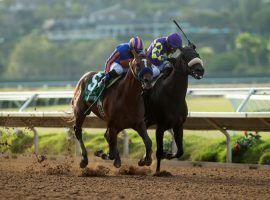 Maximum Security (left) held off Midcourt by a nose to win the San Diego Handicap. The 4-year-old colt is a 5/1 favorite to win the Breeders' Cup Classic. (Image: Benoit Photo)