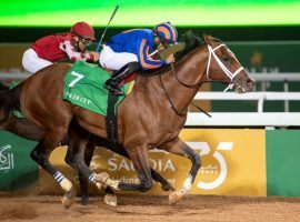 Maximum Security's hasn't raced since winning the $20 million Saudi Cup in late February. The 4-year-old standout colt returns to action July 18 at Del Marl. (Image: Jockey Club of Saudi Arabia)