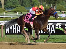 Because the horse bears the name of his late friend Brad McKinzie, Bob Baffert takes special pride when McKinzie wins races like last year's Whitney. He will be one to watch in Saturday's Met Mile at Belmont Park. (Image: NYRA Photo)