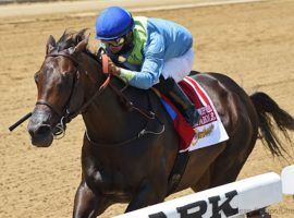 When it comes to sprints such as June's Woody Stephens, No Parole can't be caught. He's the 9/5 favorite for the H. Allen Jerkens Memorial at Saratoga. (Image: Chelsea Durand/Coglianese Photo)