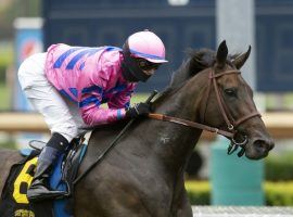 This is one of Flavien Prat's 98 victories this year, aboard Toinette in the Wilshire Stakes June 20. The West Coast's top jockey tested positive for COVID-19 Sunday. (Image: Benoit Photo/AP)