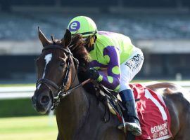 Rushing Fall and Javier Castellano make a dynamic team. The 5-year-old mare won her second stakes race in as many months Saturday, repeating as Jenny Wiley Stakes champion. (Image: Chelsea Durand/Coglianese Photography)