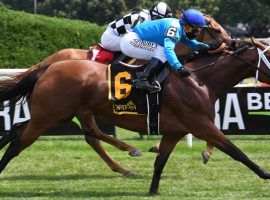 Starship Jubilee proved to bettors again why she is one of the best older turf mares in North America. She won Saturday's Ballston Spa Stakes at Saratoga, beating 2/5 favorite Sistercharlie. (Image: NYRA)