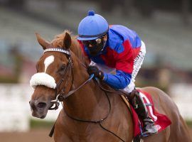 Mike Smith and Swiss Skydiver rolled to such an easy victory in June's Santa Anita Oaks that her connections may send her into Saturday's Blue Grass Stakes against the boys. (Image: AP Photo)