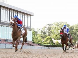 Swiss Skydiver exercised proper social distancing turning back Venetian Harbor in May's Fantasy Stakes. She is the 3/1 morning line favorite to beat the boys in the Blue Grass Stakes. (Image: Coady Photography)