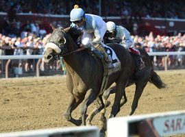 Even in the mud, Tom's d'Etat finds Saratoga to his liking. He's 3-for-4 at the Spa, seeking his fifth consecutive win in Saturday's Whitney Stakes. (Image: Elsa Loreul/NYRA)