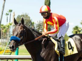 Uncle Chuck won't find his next race as easy as he and Luis Saez found the July 4 Los Alamitos Derby. The undefeated 3-year-old ships to Saratoga for the Grade 1 Travers Stakes. (Image: Benoit Photo)