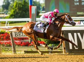 Vekoma won the Met Mile as the 5/2 second-favorite. He is one of the top older horses in the country, with a stud career at Spendthrift Farm awaiting him after this year. (Image: Eclipse Sportswire)