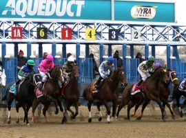 Aqueduct's fall 2020 season offers only one Grade 1 race -- the Cigar Mile. but it provides candid views of some of the most promising 2-year-olds in the country. (Image: ZUMA Photography)