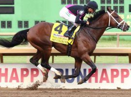 Art Collector, seen her romping to an easy victory in the Ellis Park Derby, is one of six Kentucky Derby horses with a triple-digit Beyer Speed Figure. (Image: Coady Photography)