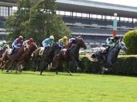 The Belmont Park turf will provide the scene for some of Big Sandy's best fall races. (Image: NYRA/Coglianese Photo)