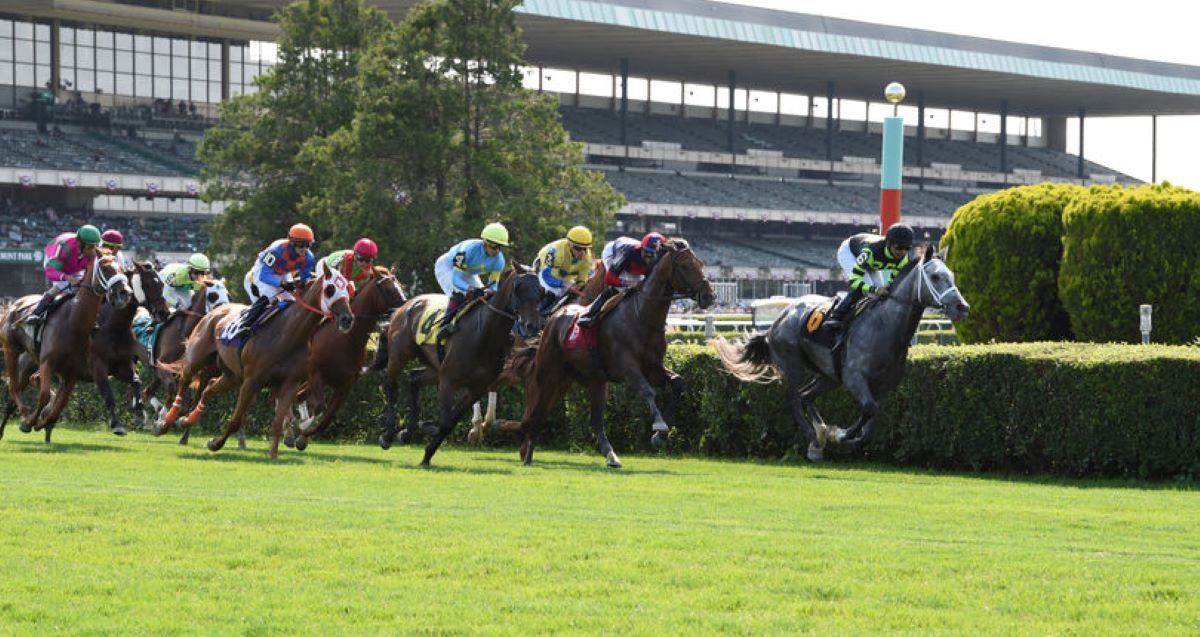 Belmont Park Fall Meet