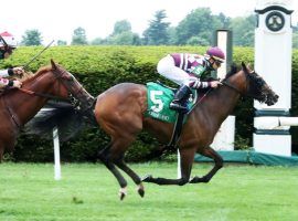 Fauci broke his maiden in his second start with this length victory at Keeneland in July. He faces two of his Wesley Ward stablemates in Friday's Skidmore Stakes at Saratoga. (Image: Keeneland/Coady Photography)