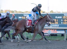 Irad Ortiz and 31/1 shot Math Wizard provided one of 2019's biggest racing upsets. He'll remain reigning Pennsylvania Derby champion for one more year. (Image: Barbara Weidl/EQUI-PHOTO)