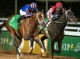 Maximum Security (7) 
edged Midnight Bisou to win February's inaugural Saudi Cup. Only Midnight Bisou, however, received her purse winnings this week as Saudi officials investigate Maximum Security's former trainer. (Image: Edward Whitaker)