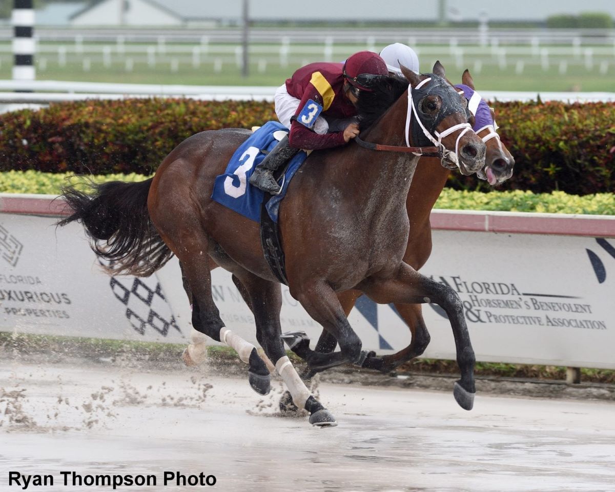 Money Moves in, Dr Post, Shirl's Speight Exit Kentucky Derby Field