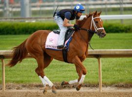 Monomoy Girl makes racing look so effortless, that she seems to glide through the air. The 5-year-old mare goes for her third 2020 victory in the Sept. 4 La Troienne Stakes at Churchill Downs. (Image: Michael Reaves/Getty)