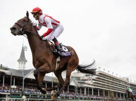 Newspaperofrecord won the Breeders' Cup Juvenile Fillies Turf at Churchill Downs two years ago. She returns to Churchill Downs as the expected favorite in the Grade 2 Distaff Turf Mile on Derby Saturday. (Image: Edward Whitaker)