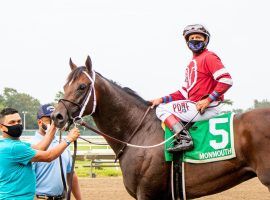 Pneumatic and jockey Joe Bravo easily captured the final Kentucky Derby points race -- the Pegasus Stakes. But they announced Monday they'll skip the Derby for the Preakness Stakes a month later. (Image: Eclipse Sportswire)