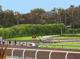 Horses prepare to tackle the 80-foot dirt crossing on Santa Anita Park's unique downhill turf course. That course may re-open as the track builds a new turf chute on the first turn. (Image: Santa Anita Park)