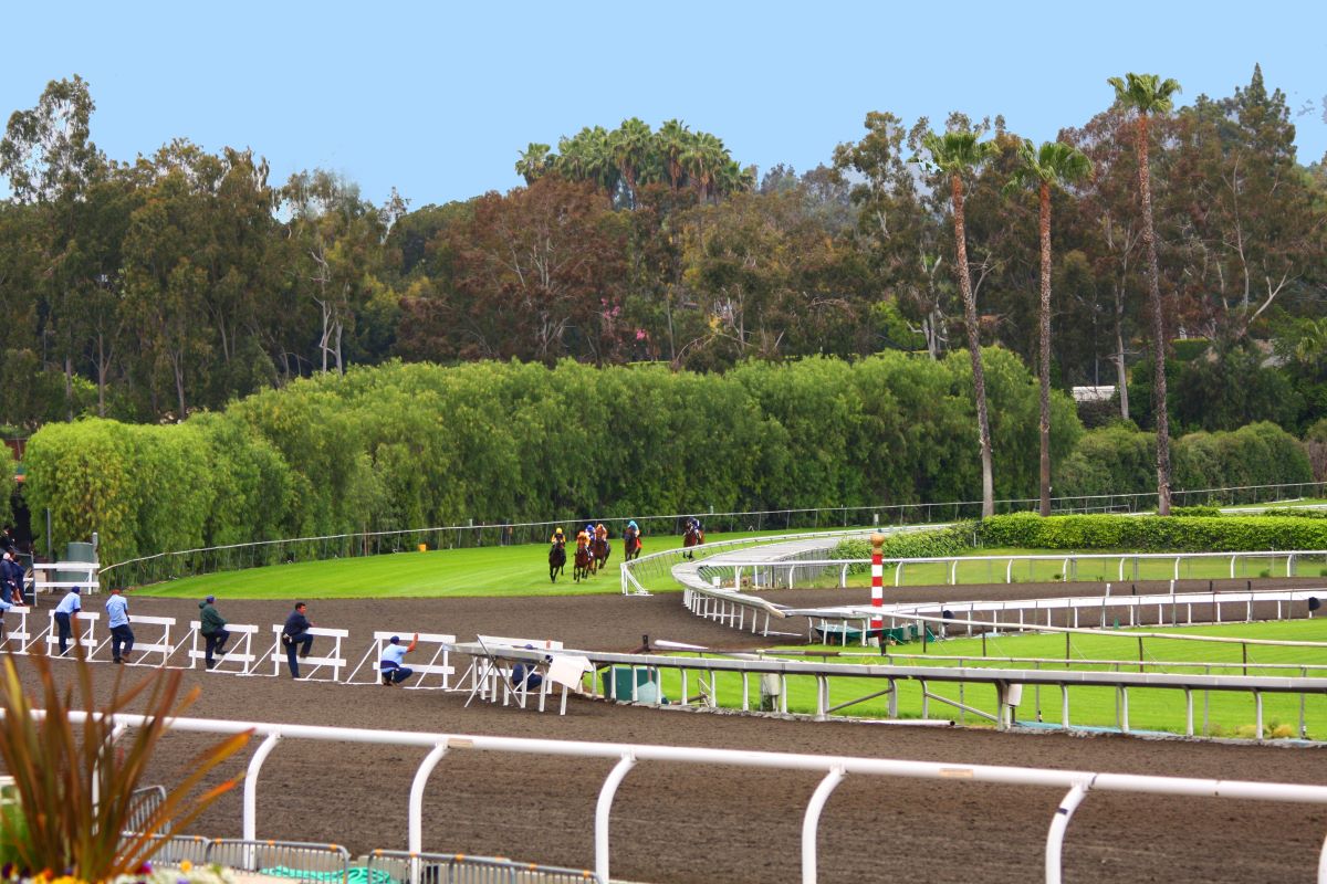 Santa Anita New Turf Chute