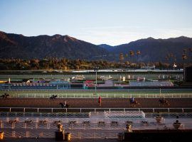 With the San Gabriels framing the track, horses go through their morning paces at Santa Anita Park. The Southern California track's fall season opens Sept. 19 -- one week earlier than usual. (Image: Jenna Schoenfeld/NY Times)