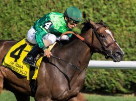 John Velazquez and Sistercharlie powered their way to the 2019 Diana Stakes title. The pair go for the three-peat today in the Grade 1 race at Saratoga. (Image: Skip Dickstein/Times Union)