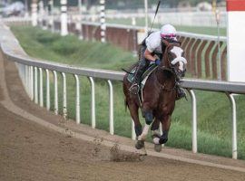 Tiz the Law and exercise rider Heather Smullen turned in a strong pre-Travers workout last Saturday.  The Belmont Stakes champion is even-money to win Saturday's Travers Stakes. (Image: Skip Dickstein/ Albany Times Union)