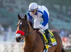 Venetian Harbor and Flavien Prat won February's Las Virgenes Stakes by 9 1/4 lengths. She has three runner-up finishes since and the one-time Kentucky Oaks favorite is skipping that race. (Image: Benoit Photo)