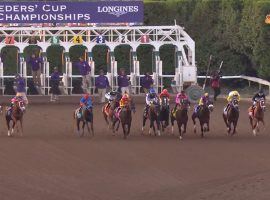 The start to the Breeders' Cup Classic is like watching an all-star race. This year's Preakness Stakes sends its winner to the $7 million Breeders' Cup Classic at Keeneland. (Image: Breeders' Cup World Championships)