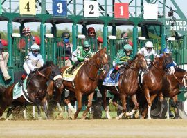 Tom's d'Etat stumble coming out of the gate likely cost him his fifth consecutive victory. Instead, Improbable captured the centerpiece of Saratoga's Whitney Day card. (Image: Erica Miller/Daily Gazette)