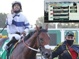 Jockey Tomas Mejia piloted 158/1 shot Andrez Conquist to victory in Monmouth Park's 13th race Saturday. The $319.80 payout broke a 69-year-old Monmouth Park record. (Image: Equi-Photo)