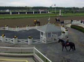 Arlington Park played host to racing's first $1 million race in 1981. The 93-year-old track may not race beyond 2021. (Image: Jonathan Daniel/Getty)