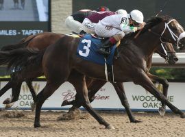 Clayton, seen her prevailing by a head in the Plate Trial Stakes, is the 2/1 morning line favorite to win Canada's Queen's Plate. (Image: Michael Burns Photography)