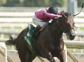 Gretzky the Great won the Soaring Free Stakes to give his sire, Nyquist, his first progeny stakes winner. Gretzky the Great goes for his hat trick in Sunday's Summer Stakes. (Image: Michael Burns)