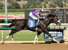 Honor A.P. retired as the only horse to beat Kentucky Derby winner Authentic. He begins his stud career next year. (Image: Lane's End)