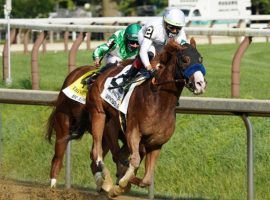 Improbable turned aside Mr. Buff to win the Whitney at Saratoga. He'll find winning his third consecutive Grade 1 a bit tougher in the Awesome Again Stakes Saturday at Santa Anita. (Image: NYRA/Dom Napolitano)