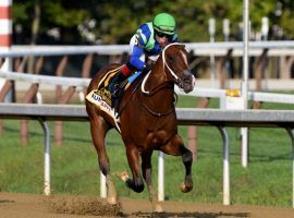 Jackie's Warrior's impressive win in the Grade 1 Hopeful Stakes put him at the front of the line of 2021 Kentucky Derby contenders. (Image: Dom Napoiltano/Coglianese Photography)