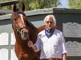 One of the most intimidating duos in Thoroughbred racing: Maximum Security and Bob Baffert. Maximum Security goes for his seventh consecutive win as the 3/5 favorite in the Awesome Again Stakes at Santa Anita Park. (Image: Benoit Photo)